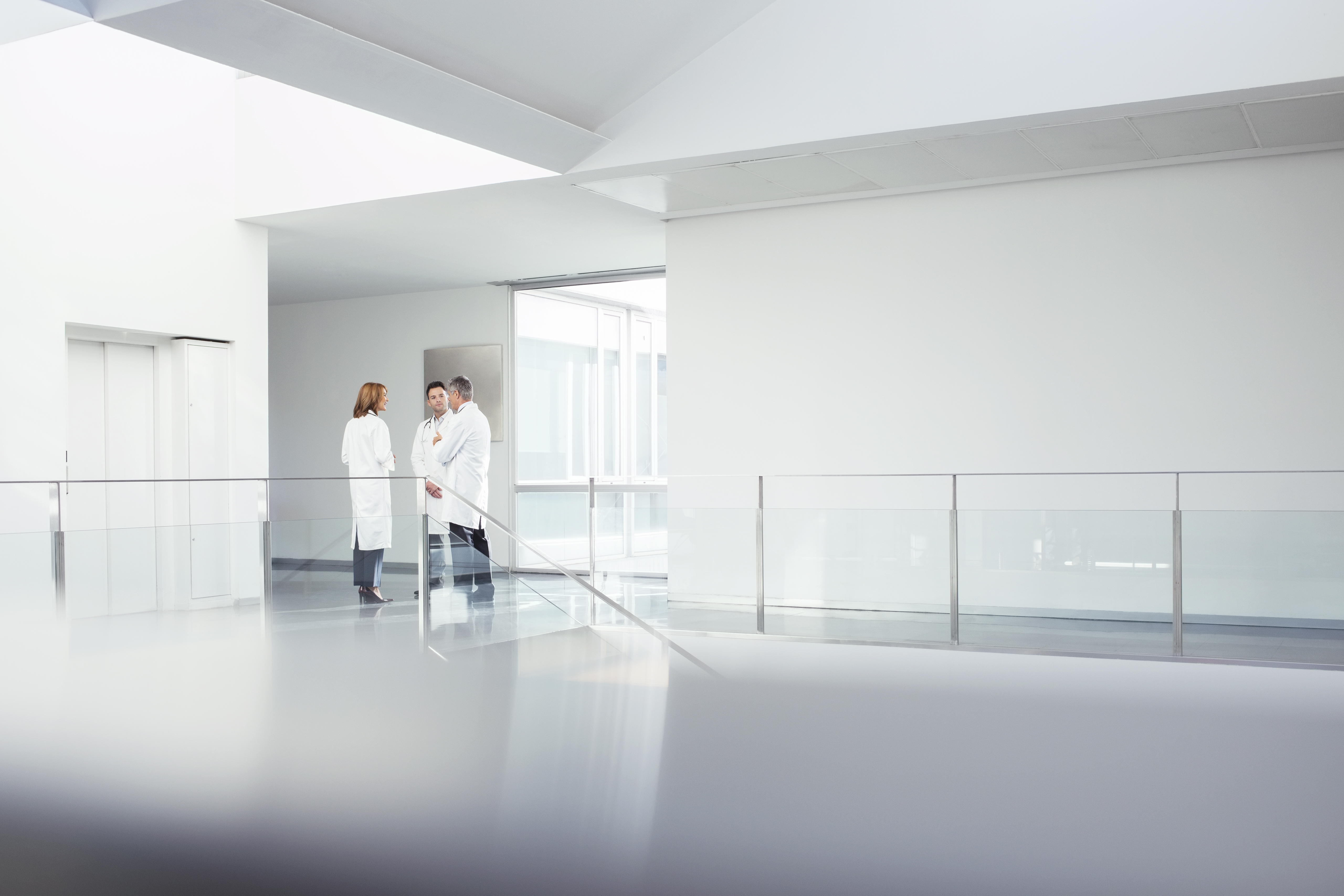 Totara Iniciar sesión